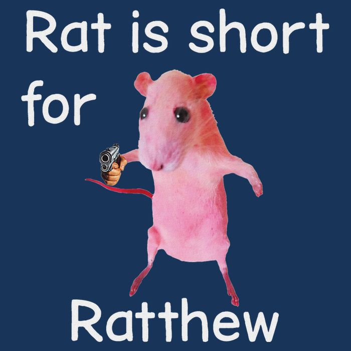 Rat Is Short For Ratthew Meme Infant Baby Jersey Bodysuit
