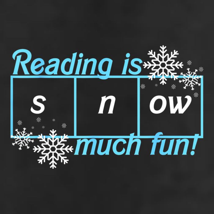 Reading Is Snow Much Fun Science Of Reading Garment-Dyed Fleece Hoodie