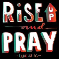Rise And Pray Luke 22:16 Pom Pom 12in Knit Beanie