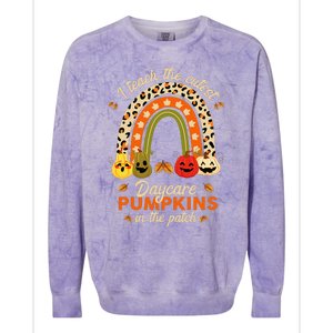 Rainbow I Teach The Cutest Daycare Pumpkin Halloween Teacher Colorblast Crewneck Sweatshirt