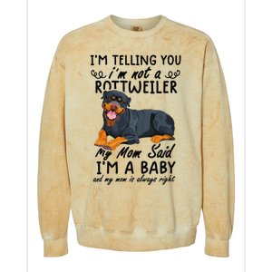 rottweiler I'm Telling You I'm Not A rottweiler Colorblast Crewneck Sweatshirt