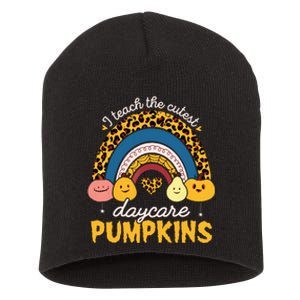 Rainbow I Teach The Cutest Pumpkin Halloween Daycare Teacher Short Acrylic Beanie