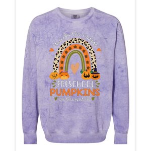 Rainbow I Teach The Cutest Pumpkins In Patch Fall Preschool Colorblast Crewneck Sweatshirt