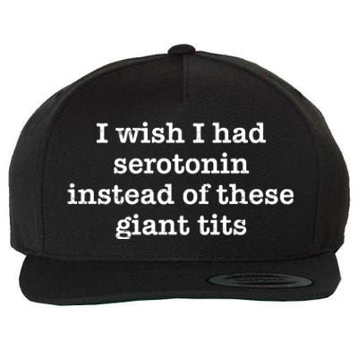 Retro I Wish I Had Serotonin Instead Of These Giant Tits Wool Snapback Cap