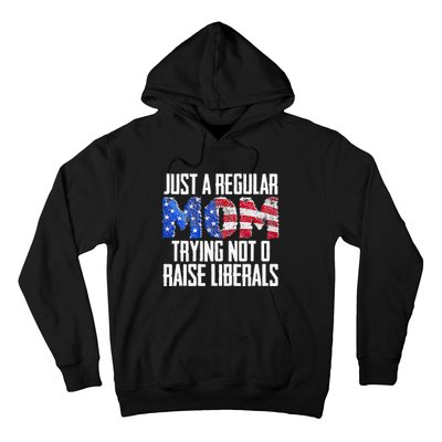 Republican Just A Regular Mom Trying Not To Raise Liberals Hoodie