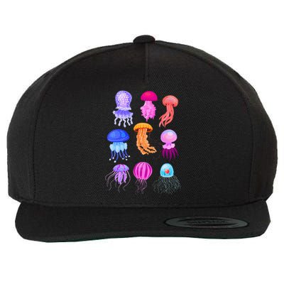 Retro Jellyfish Design Wool Snapback Cap