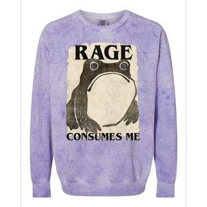 Retro Japanese Frog Funny Meme Quote Rage Consumes Me Colorblast Crewneck Sweatshirt