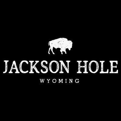 Retro Jackson Hole Wyoming Bison Buffalo Vintage T-Shirt