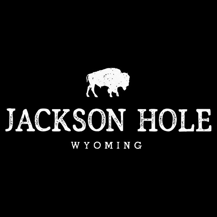 Retro Jackson Hole Wyoming Bison Buffalo Vintage Visor