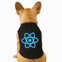 React JavaScript JS Frontend Software Engineer Programmer Doggie Tank
