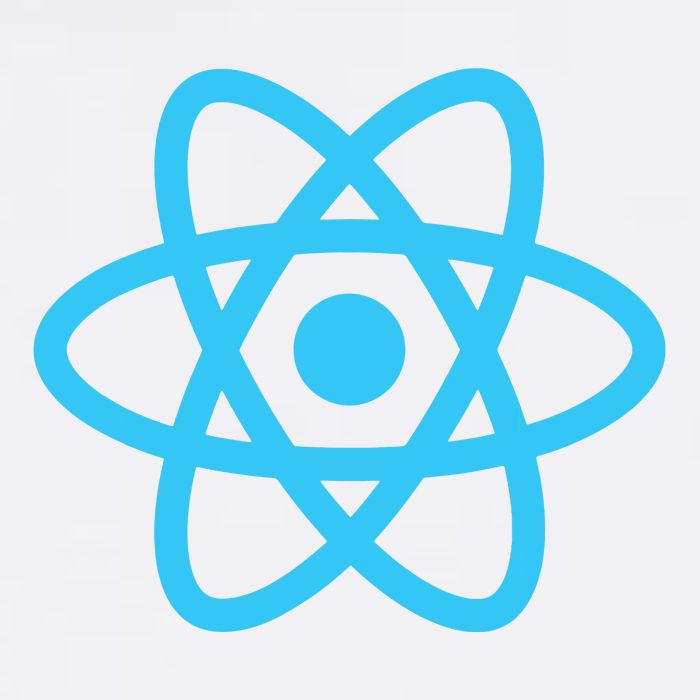 React JavaScript JS Frontend Software Engineer Programmer Garment-Dyed Sweatshirt
