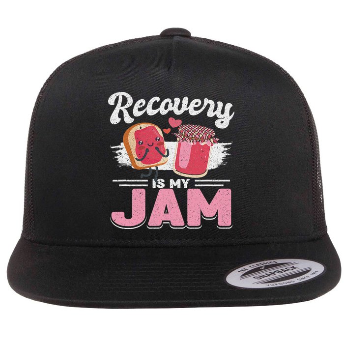 Recovery Jam Narcotics Anonymous Na Aa Sober Sobriety Flat Bill Trucker Hat