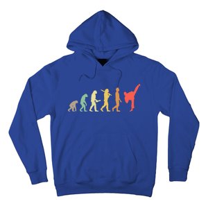 Retro Karate Evolution Gift For Karateka Gift Hoodie