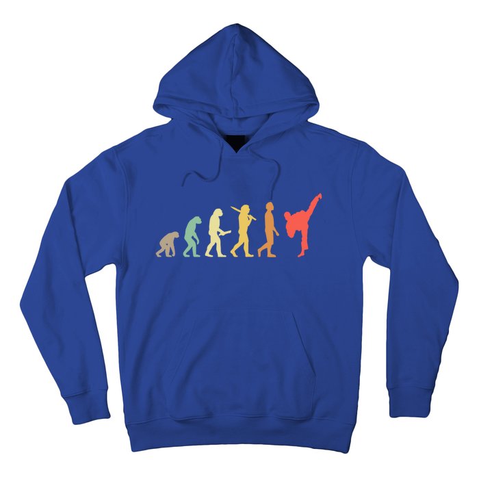 Retro Karate Evolution Gift For Karateka Gift Hoodie