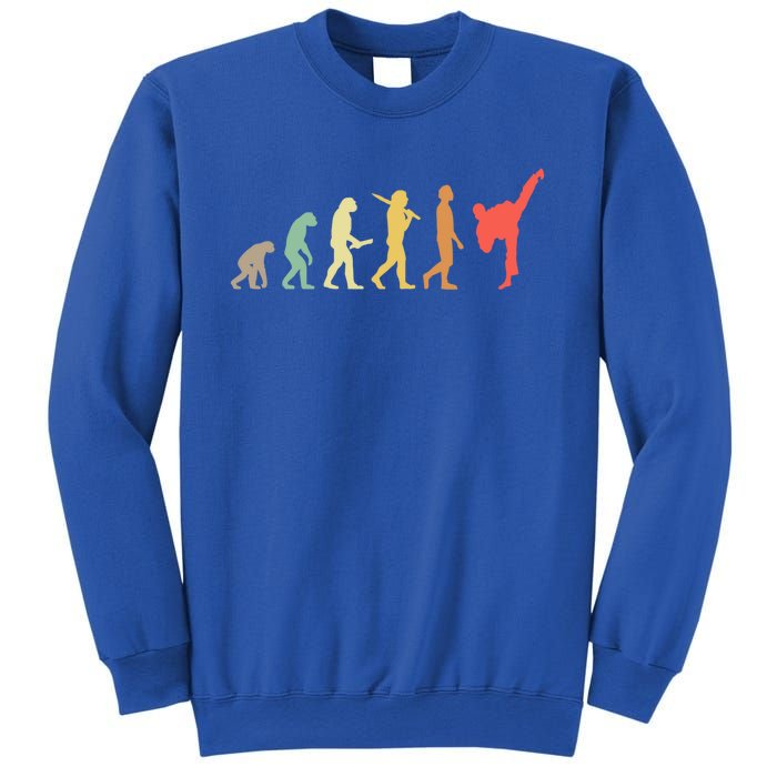 Retro Karate Evolution Gift For Karateka Gift Sweatshirt