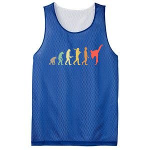 Retro Karate Evolution Gift For Karateka Gift Mesh Reversible Basketball Jersey Tank