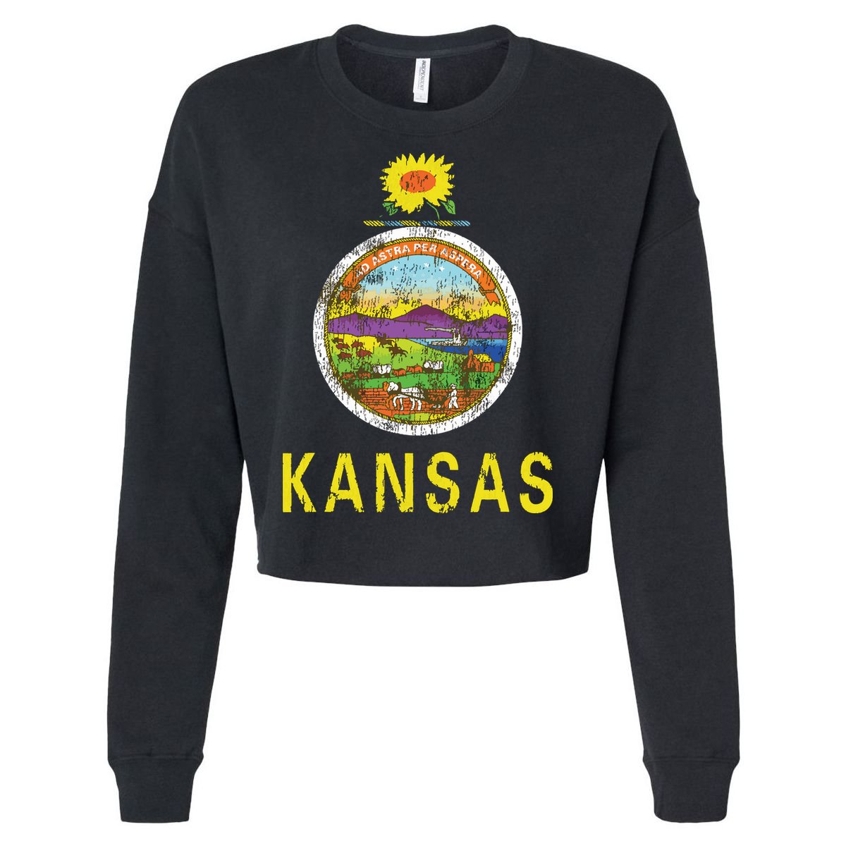 Retro Kansas Flag Vintage Ks Souvenir Gift Cropped Pullover Crew