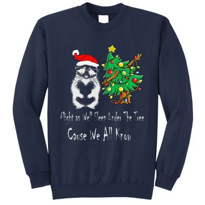 Raccoon Lover Art IM The Gift In The Family Funny Christmas Sweatshirt