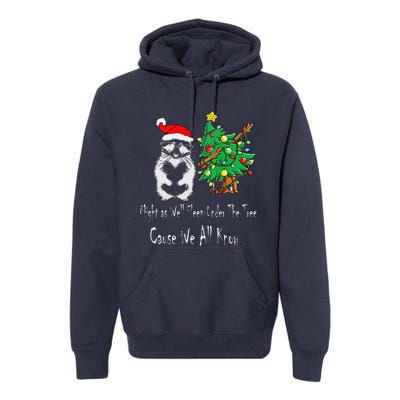 Raccoon Lover Art IM The Gift In The Family Funny Christmas Premium Hoodie