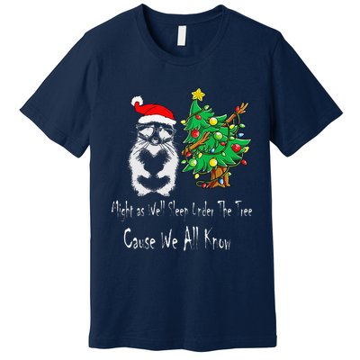 Raccoon Lover Art IM The Gift In The Family Funny Christmas Premium T-Shirt