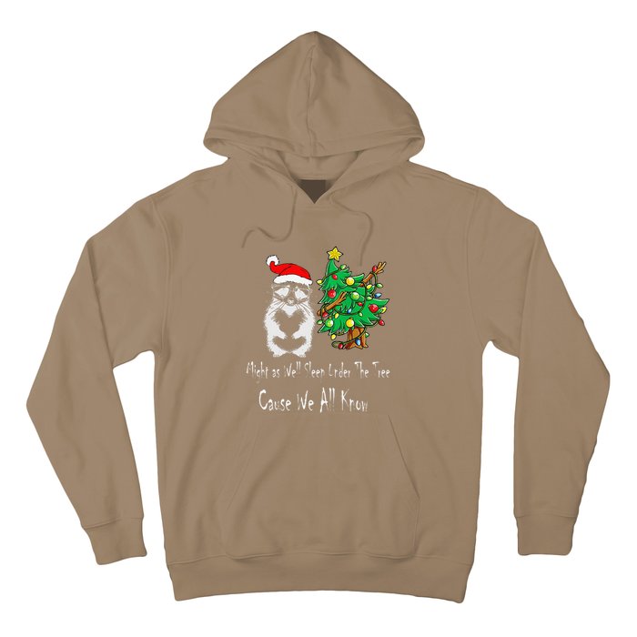 Raccoon Lover Art IM The Gift In The Family Funny Christmas Hoodie