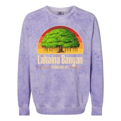 Retro Lahaina Banyan Tree Strong Since 1873 Support Maui Hawaii Colorblast Crewneck Sweatshirt