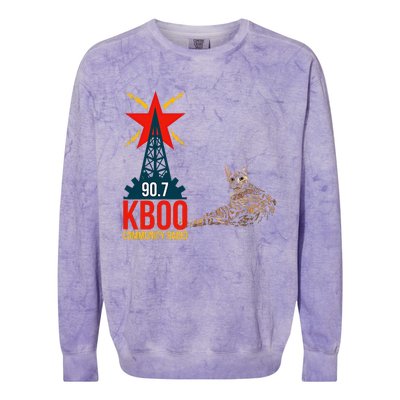 Radio Loving Cat Colorblast Crewneck Sweatshirt