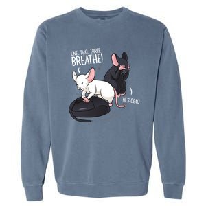 Rat Lover Computer Mouse Funny Pun Gift Garment-Dyed Sweatshirt