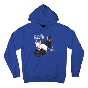 Rat Lover Computer Mouse Funny Pun Gift Hoodie