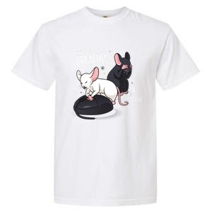 Rat Lover Computer Mouse Funny Pun Gift Garment-Dyed Heavyweight T-Shirt