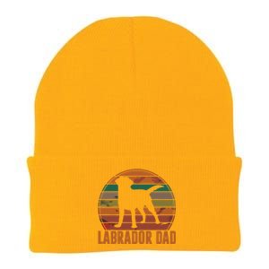 Retro Labrador Dad Gift Dog Daddy Golden Black Lab Father Knit Cap Winter Beanie