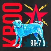 Radio Loving Dog Adult Drive Performance Visor