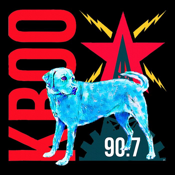 Radio Loving Dog Cooling Performance Long Sleeve Crew