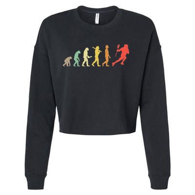 Retro Lacrosse Evolution Gift For Lacrosse Players Cropped Pullover Crew