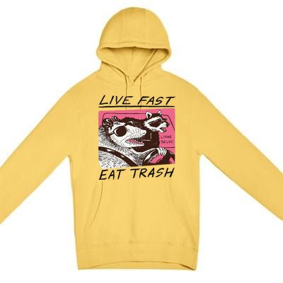 Raccoon Live Fast Eat Trash Funny Animal Premium Pullover Hoodie