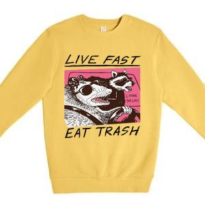 Raccoon Live Fast Eat Trash Funny Animal Premium Crewneck Sweatshirt