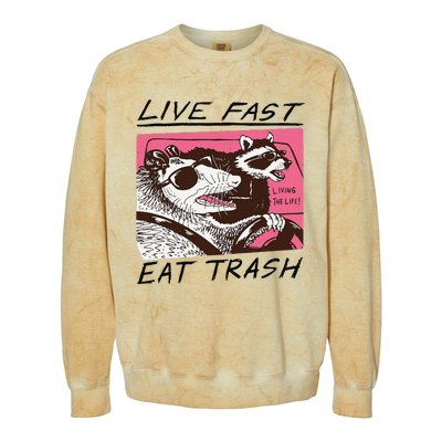 Raccoon Live Fast Eat Trash Funny Animal Colorblast Crewneck Sweatshirt