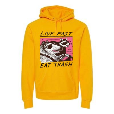 Raccoon Live Fast Eat Trash Funny Animal Premium Hoodie