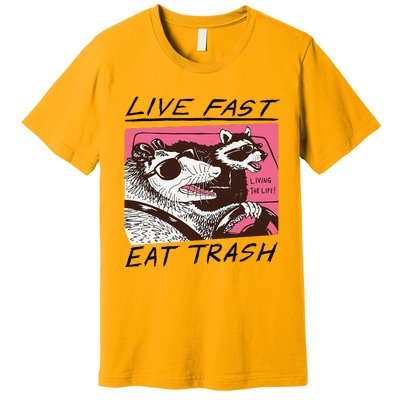 Raccoon Live Fast Eat Trash Funny Animal Premium T-Shirt