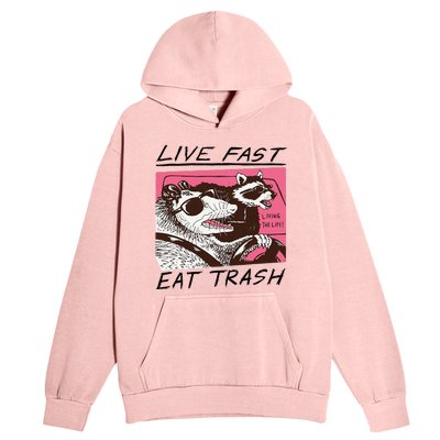 Raccoon Live Fast Eat Trash Funny Animal Urban Pullover Hoodie