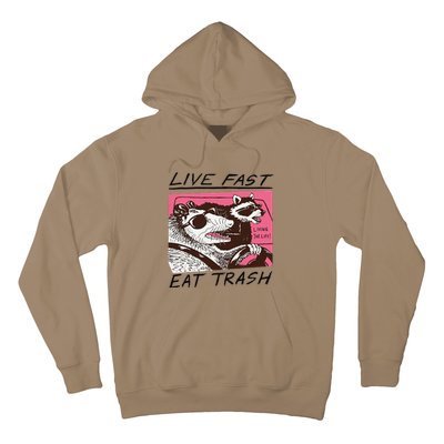 Raccoon Live Fast Eat Trash Funny Animal Hoodie