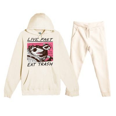 Raccoon Live Fast Eat Trash Funny Animal Premium Hooded Sweatsuit Set