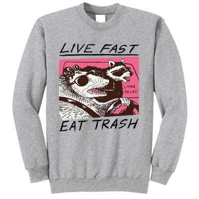 Raccoon Live Fast Eat Trash Funny Animal Sweatshirt