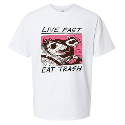 Raccoon Live Fast Eat Trash Funny Animal Sueded Cloud Jersey T-Shirt