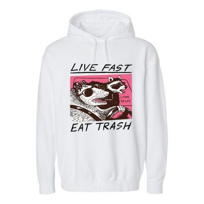 Raccoon Live Fast Eat Trash Funny Animal Garment-Dyed Fleece Hoodie