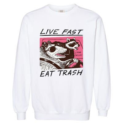 Raccoon Live Fast Eat Trash Funny Animal Garment-Dyed Sweatshirt