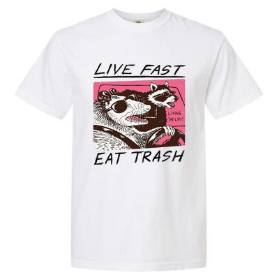 Raccoon Live Fast Eat Trash Funny Animal Garment-Dyed Heavyweight T-Shirt