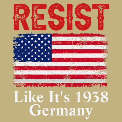 Resist Like Its 1938 Germany Historical Germany USA Flag T-Shirt