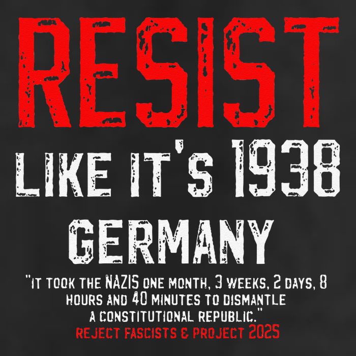 Resist like its 1938 Germany Reject Fascism Project 2025 11oz C Handle Ceramic Mug