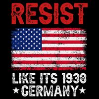 Resist Like Its 1938 Germany Historical Germany USA Flag Toddler T-Shirt